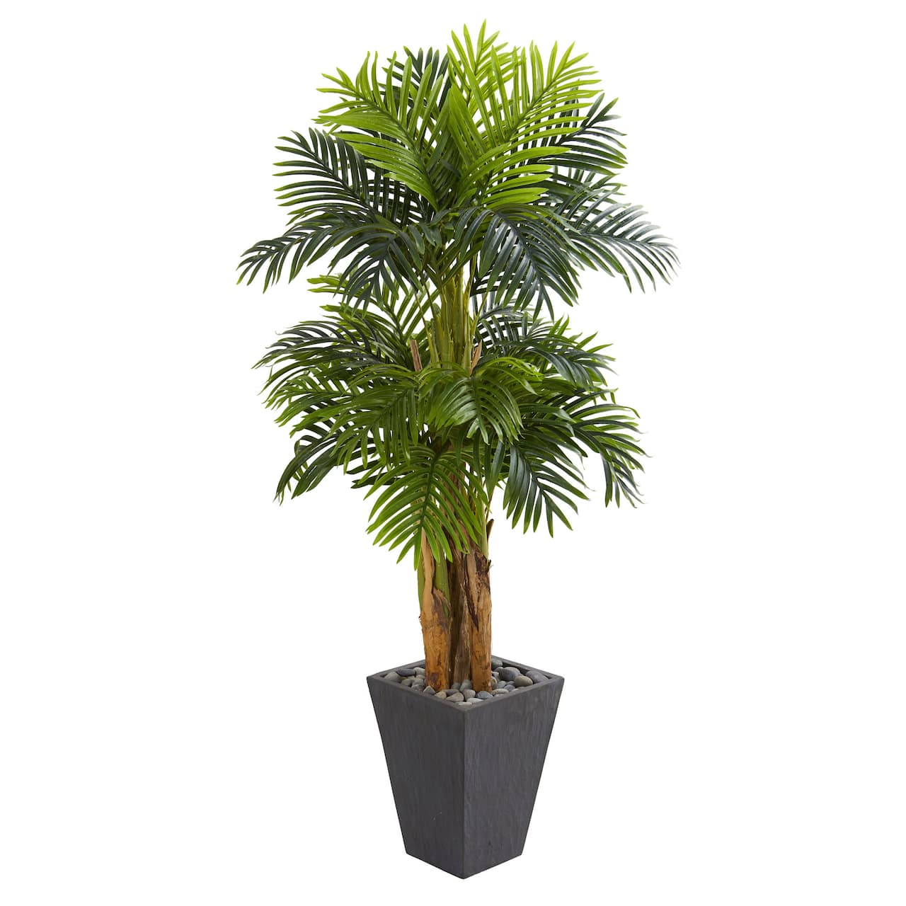 5.5ft. Triple Areca Palm Tree with Slate Planter